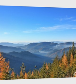 Hazey Skies of Lake & Tree Tops